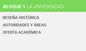 prueba_Mesa de trabajo 1